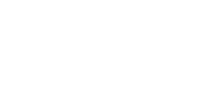 Leedex
